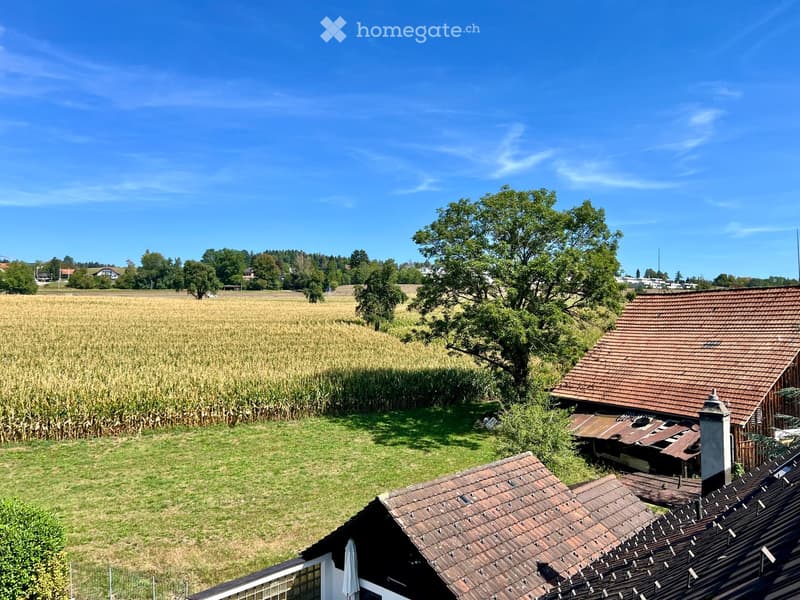 Flarzhaus mit Geschichte und Potenzial zum einzigartigen Bijou (29)