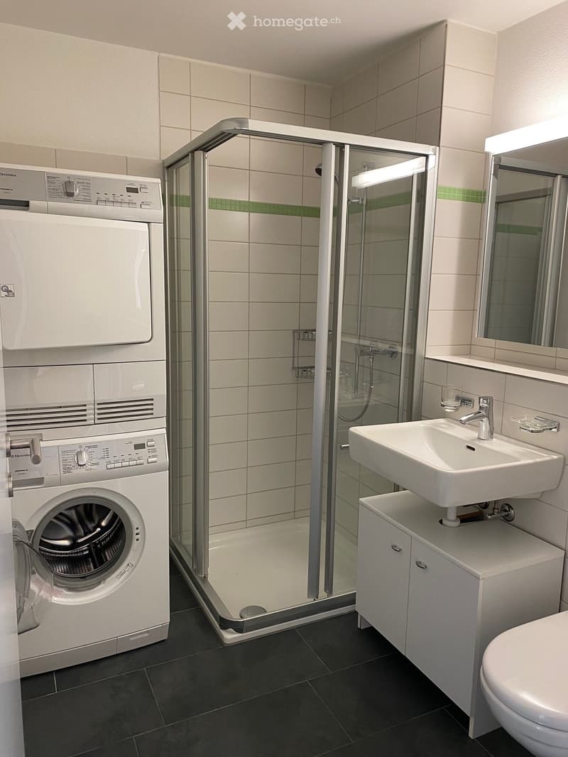 Modern bathroom with a washing machine, shower, sink, mirror, and toilet.