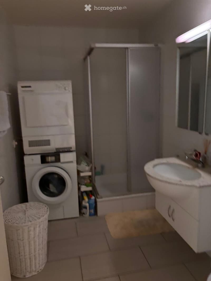 Bathroom with a washing machine, toilet, sink, and shower stall. Includes a wicker basket on the floor and a small shelf with cleaning supplies.