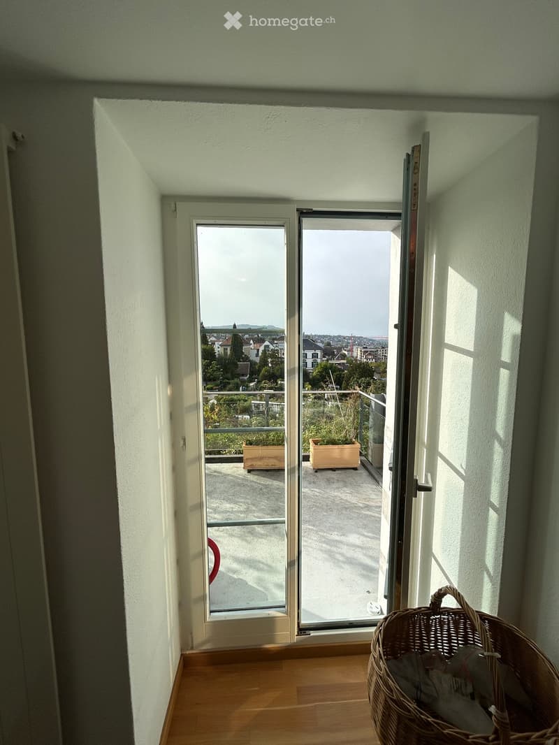 Open sliding doors lead to a balcony with a view of the city and surrounding greenery. The balcony has a concrete floor, glass railing, and two large planters.