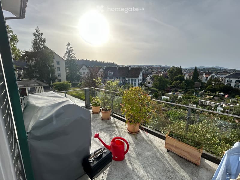 Balcony with potted plants, a red watering can, and a covered grill, overlooking a residential area with houses and greenery.
