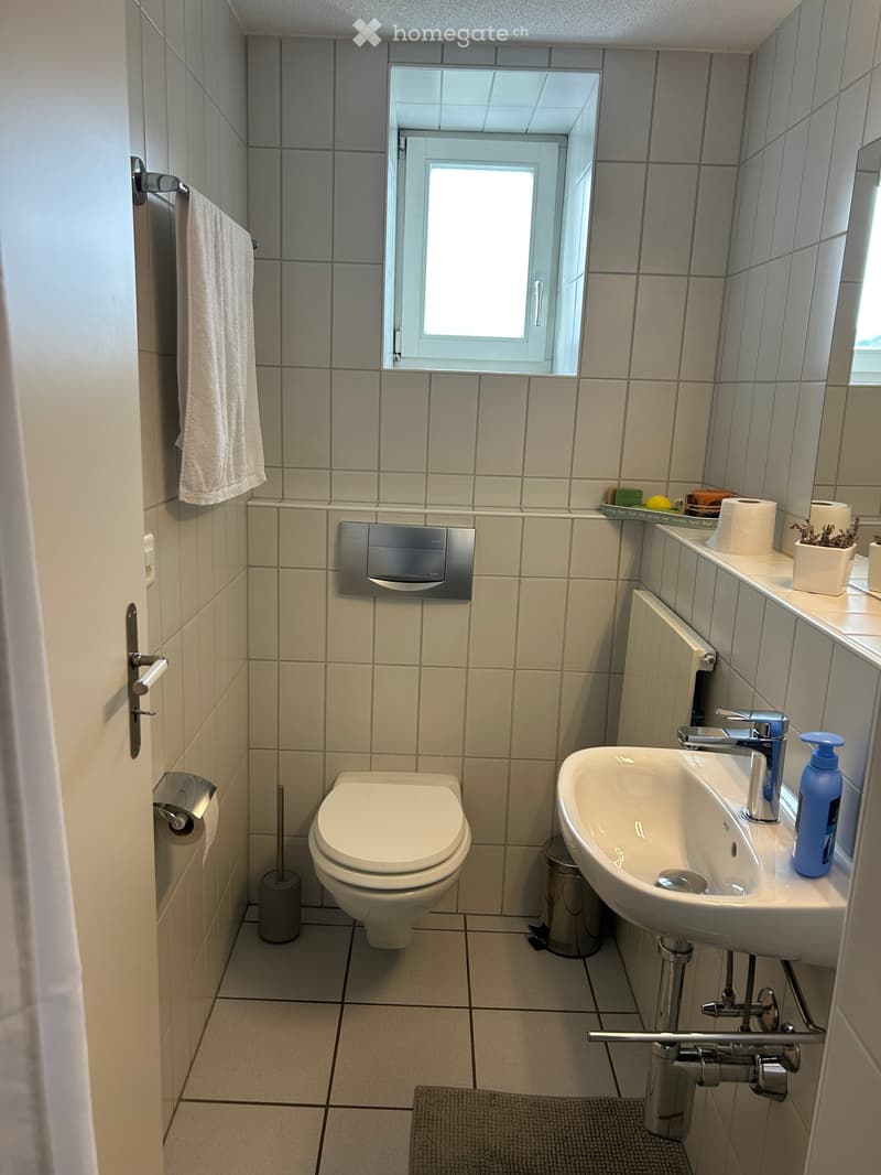 Clean, modern bathroom with white tiles, a toilet, a sink with a mirror above it, a towel hanging on the wall, and a small plant on the windowsill.