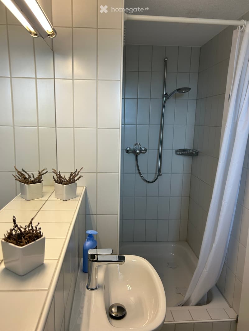 Modern bathroom with white tiles, a sink, bathtub, and shower area. Includes a soap dispenser and small potted plants on the counter.