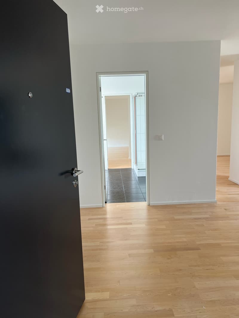 Vermietung einer lichtdurchfluteten Attikawohnung in Design-Haus auf Zeit (bis 2031) (6)