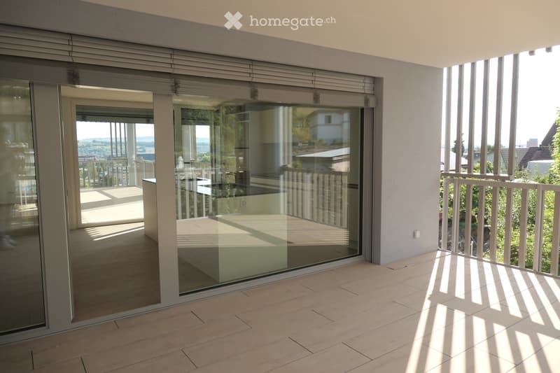 Modern balcony with large glass sliding doors, wooden flooring, and a view of the surrounding landscape.