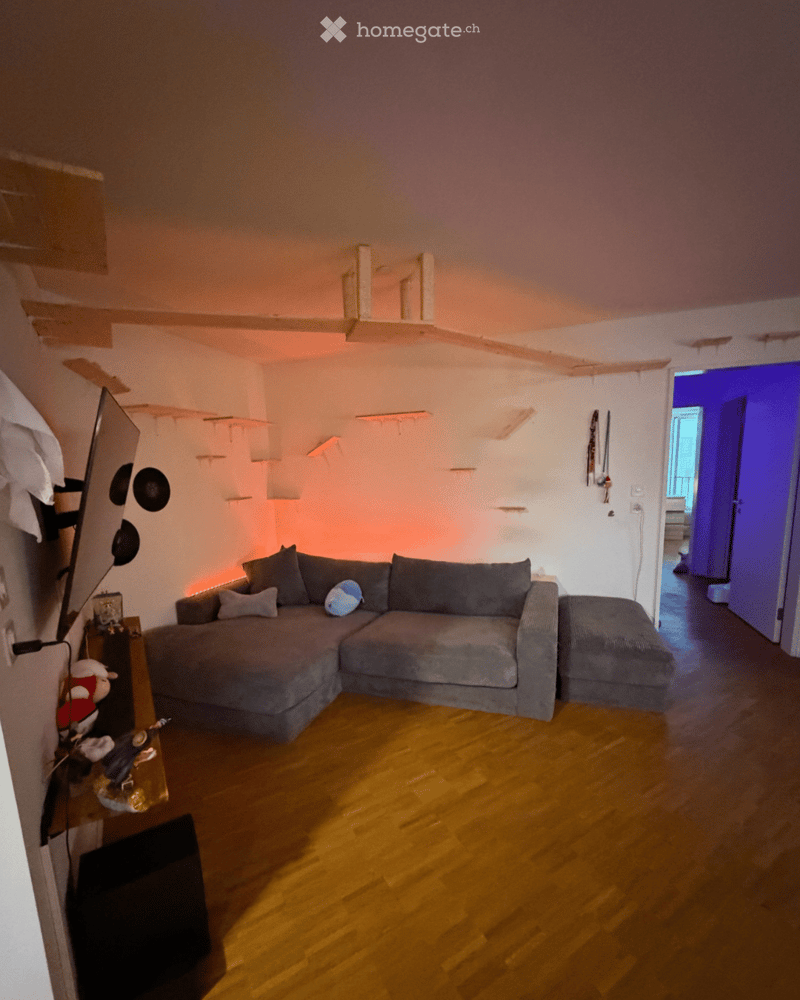 Modern living room with a grey sectional sofa, wooden floor, shelves, and a TV on a stand.