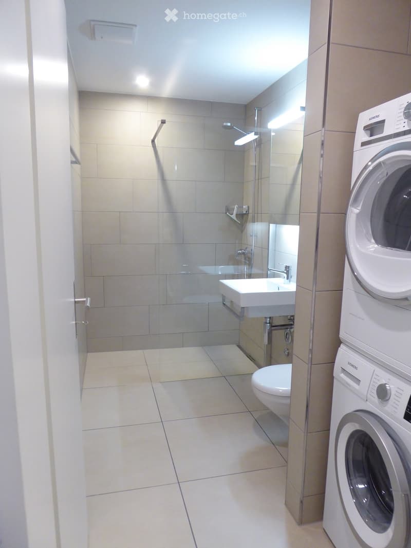 4.5 -Zimmer-Wohnung in Unterengstringen (3)