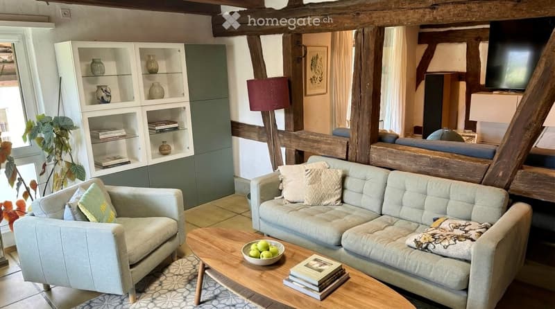 wooden beams, gray couch, wooden coffee table, wooden floor, white shelves, red lamp, plant, books