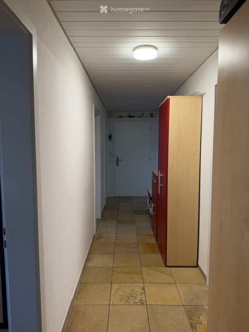 A narrow hallway with tiled flooring, white walls, and a ceiling light fixture. There is a red wardrobe and a wooden cabinet on the right side, and a closed door at the end of the hallway.
