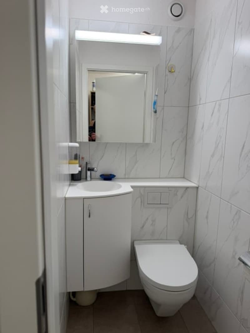 Modern, compact bathroom with white marble tiles, a corner sink cabinet, a toilet, a large mirror with built-in lighting, and a toothbrush holder.