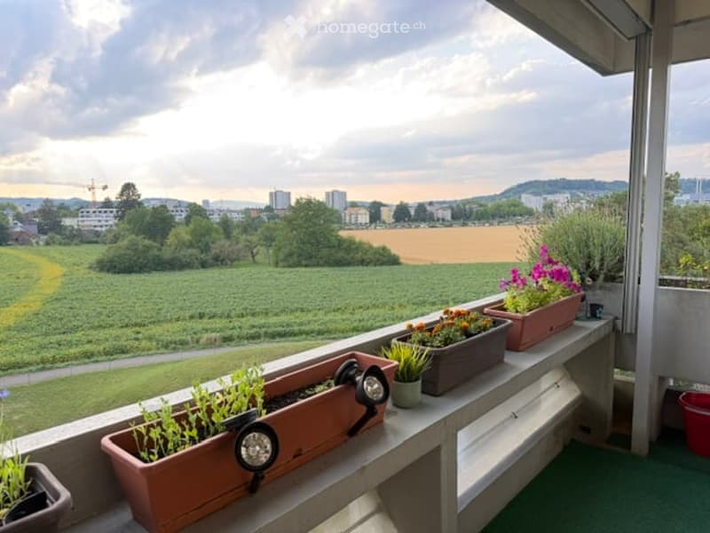 Balcony with potted plants, outdoor lighting, and a scenic view of a rural landscape and city skyline.