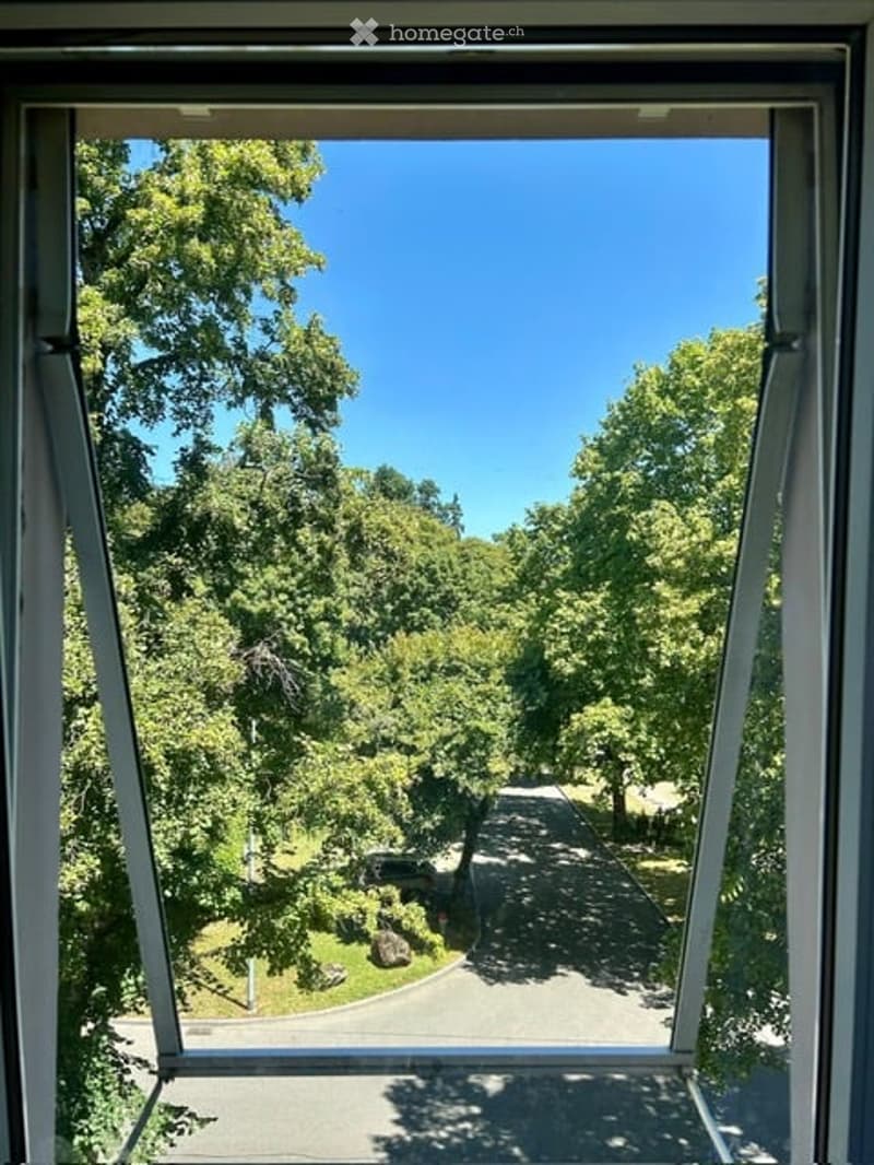 View from a balcony or terrace showing a tree-lined driveway leading to a house, surrounded by lush greenery under a clear blue sky.