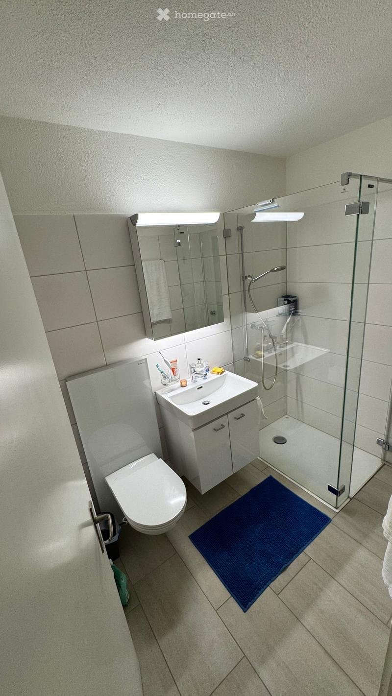 Modern bathroom with a toilet, sink, mirror, and glass-enclosed shower. Features a blue bath mat on the floor and a cabinet under the sink.