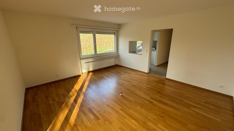 Empty room with wooden flooring, large window, radiator, and a small mirror on the wall. No furniture or equipment present.