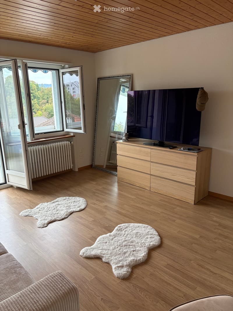 Modern living room with wooden flooring, large windows, a sofa, a television on a wooden stand, and two furry rugs.