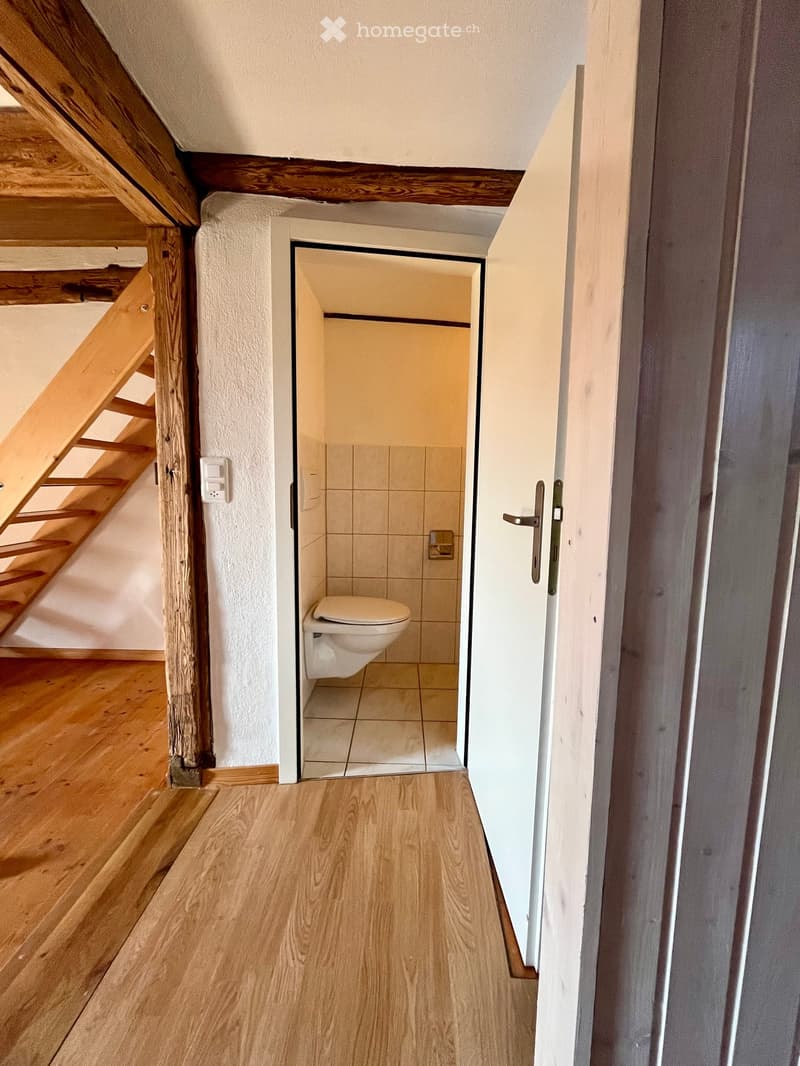 A narrow wooden-floored hallway leads to a small tiled bathroom with a toilet and a mirror. The hallway has exposed wooden beams and a staircase on the left side.