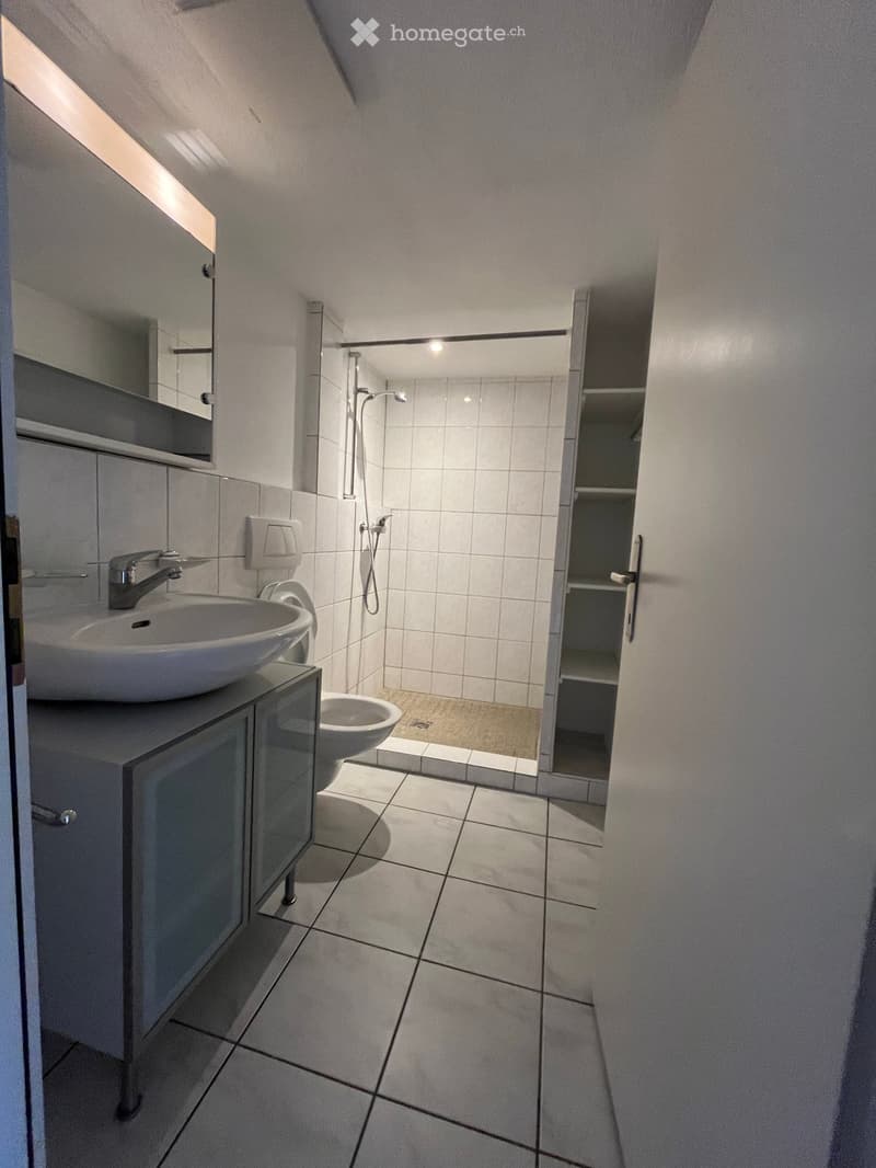 Modern bathroom with white tiles, a sink with a modern faucet, a toilet, a shower area, and built-in cabinets with mirrored doors.