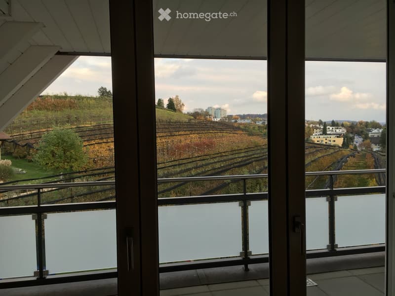 Balcony with modern glass railing, overlooking a vineyard-covered hillside and distant cityscape.