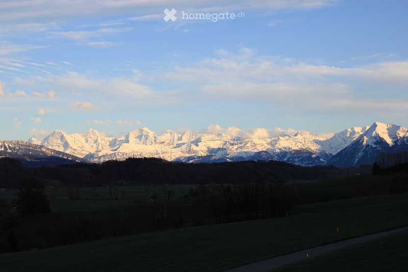 A scenic view of snow-capped mountains in the background, with a green field and scattered trees in the foreground.