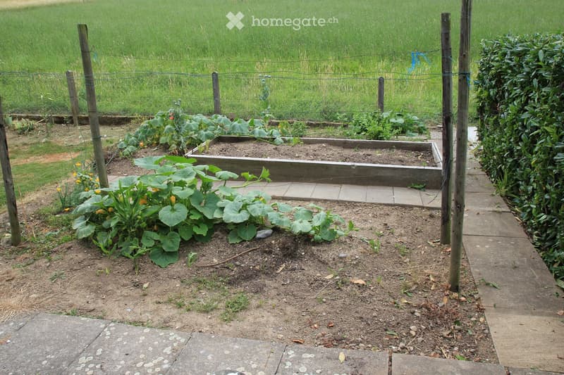 A well-maintained garden with raised beds, various plants including squash, and a fenced perimeter with wooden posts and wire.
