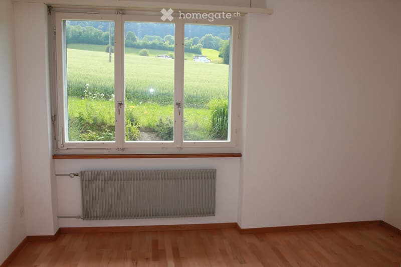 Empty room with wooden flooring, white walls, large windows overlooking a green field, and a radiator below the windows.