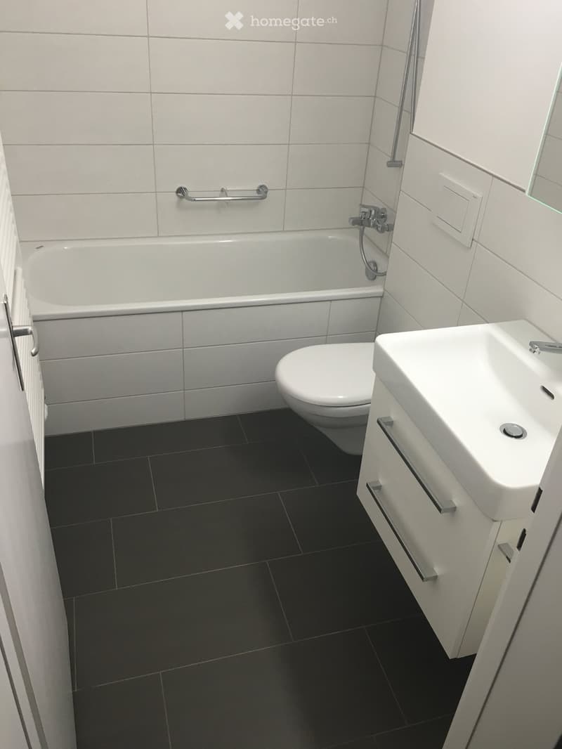 Modern bathroom with white tiles, black floor tiles, bathtub, toilet, sink, and a handrail above the bathtub.