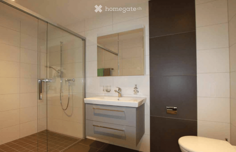Bathroom. Modern bathroom with a white sink, mirror, toilet, and glass-enclosed shower. The sink has a sleek faucet and a small cabinet with brass handles. The shower features a modern handle and a glass door.