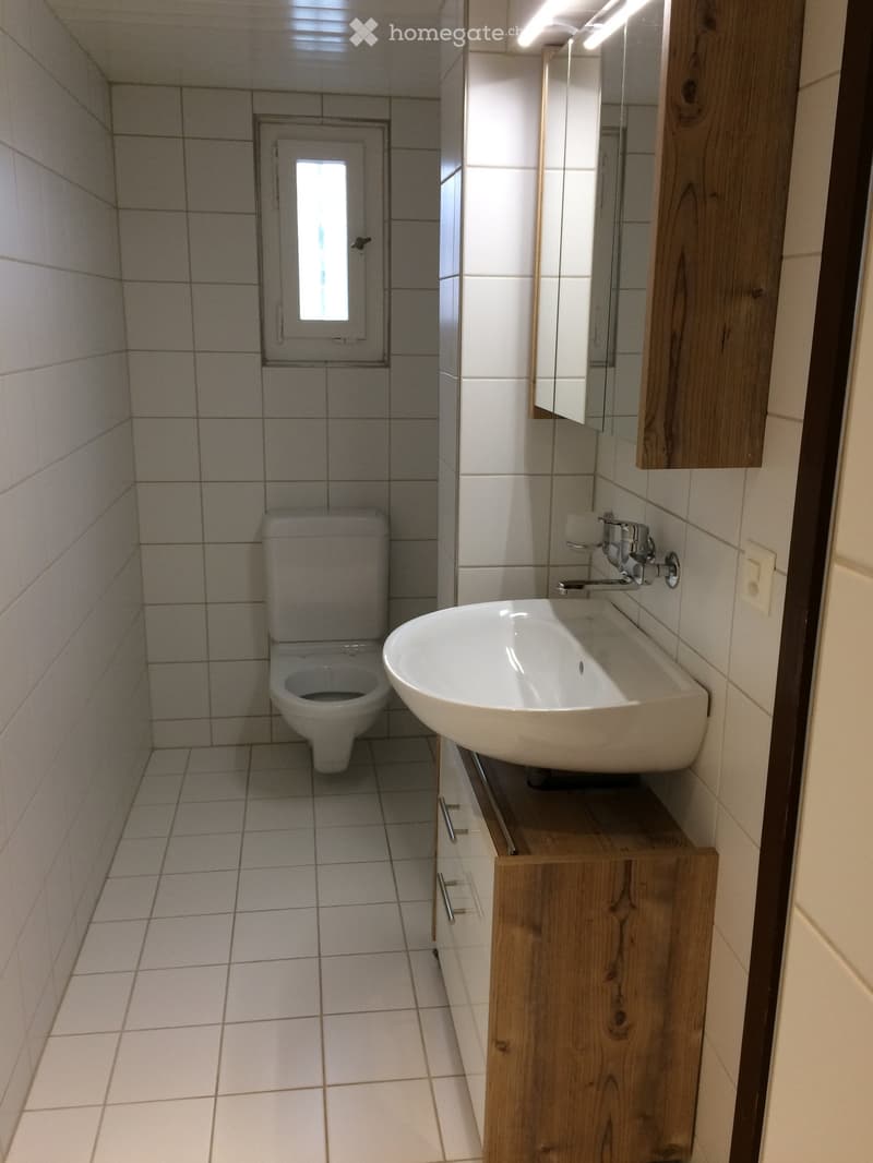 Modern bathroom with white tiled walls and floor, a toilet, a sink with a wooden cabinet, and a mirror above the sink.