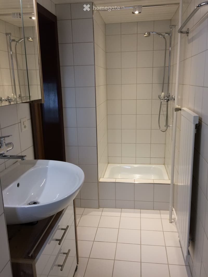Modern bathroom with white tiled walls and floor, a white sink with a modern faucet, a bathtub, and a showerhead with a handheld sprayer.