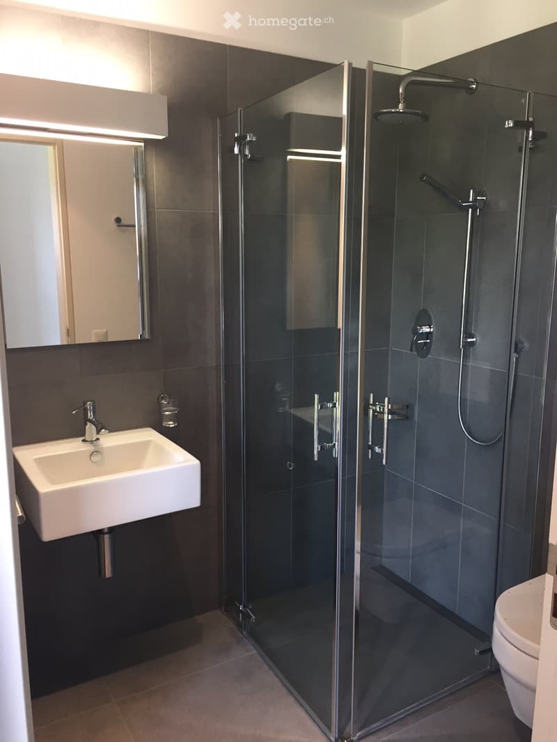 Modern bathroom with a white sink, mirror, glass-enclosed shower, and toilet. Dark grey tiles and sleek chrome fixtures.