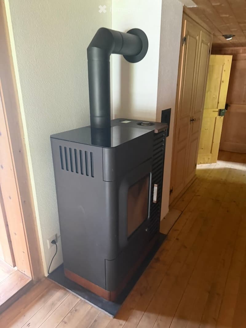 Hallway with wooden flooring, white walls, and a modern black wood-burning stove with a chimney pipe.