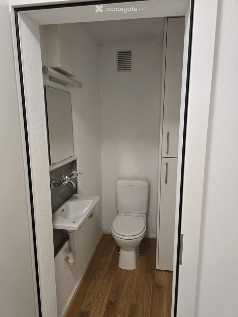 Compact bathroom with white walls, wooden floor, toilet, sink, mirror, and cabinet.