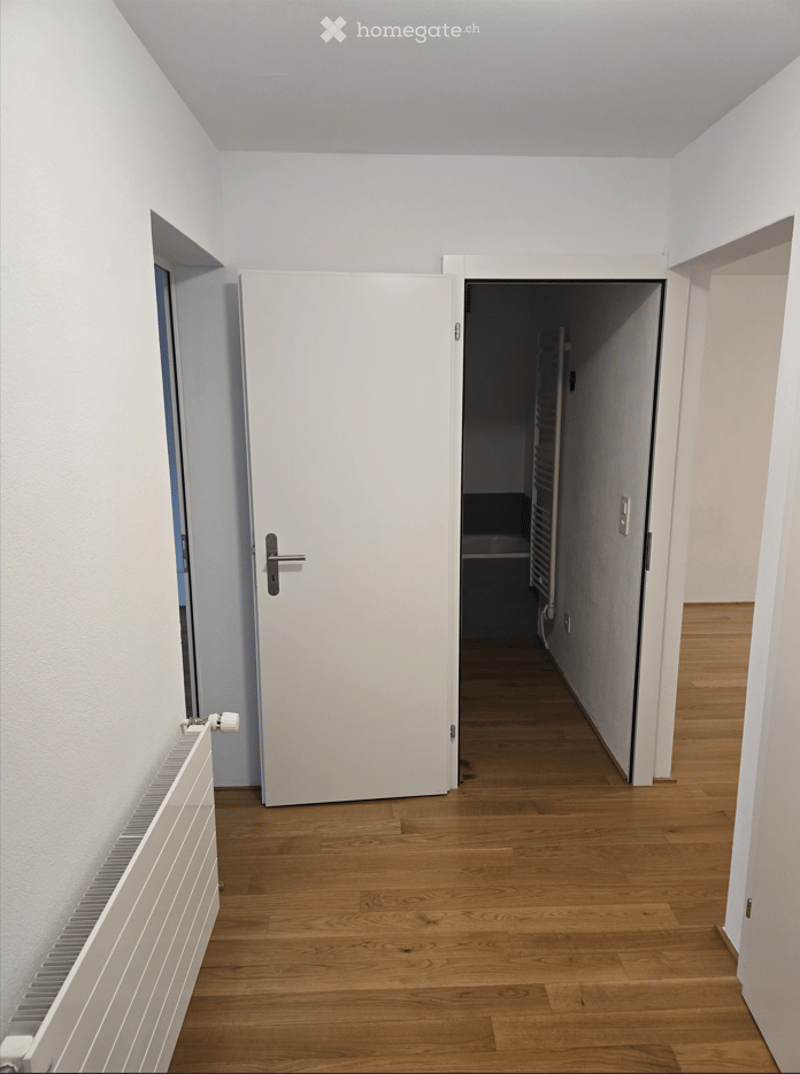 Empty hallway with light wooden flooring, white walls, and a closed white door leading to another room.