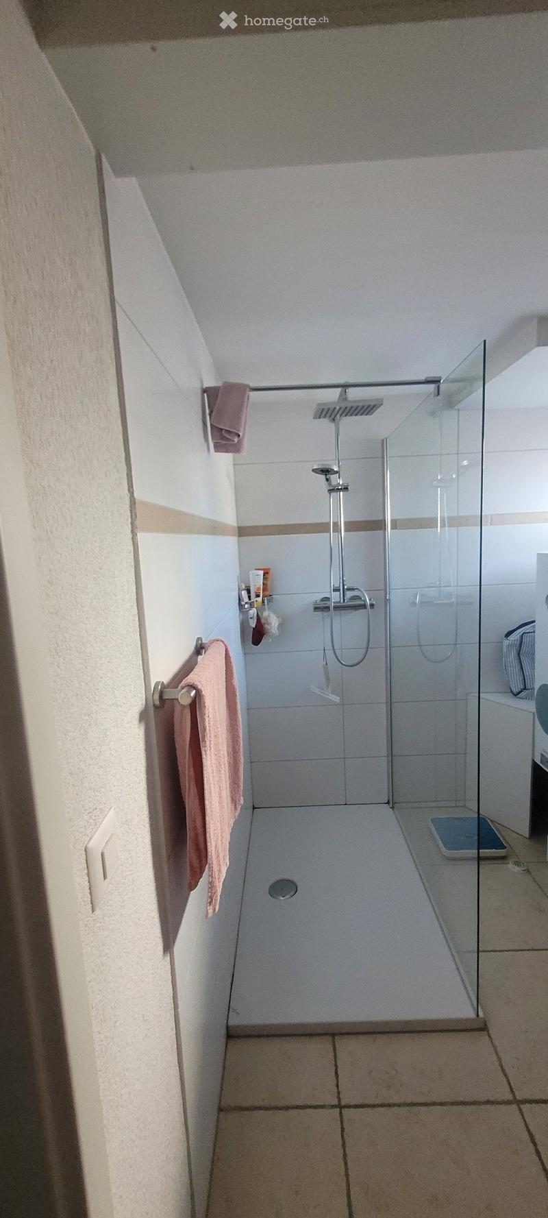 Modern bathroom with a glass-enclosed shower, tiled walls, and a towel rack with pink towels.