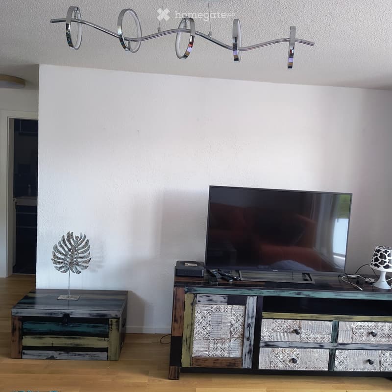 Modern living room with a large flat-screen TV on a stylish entertainment unit, accompanied by remote controls, a decorative leaf sculpture, and a unique lamp.