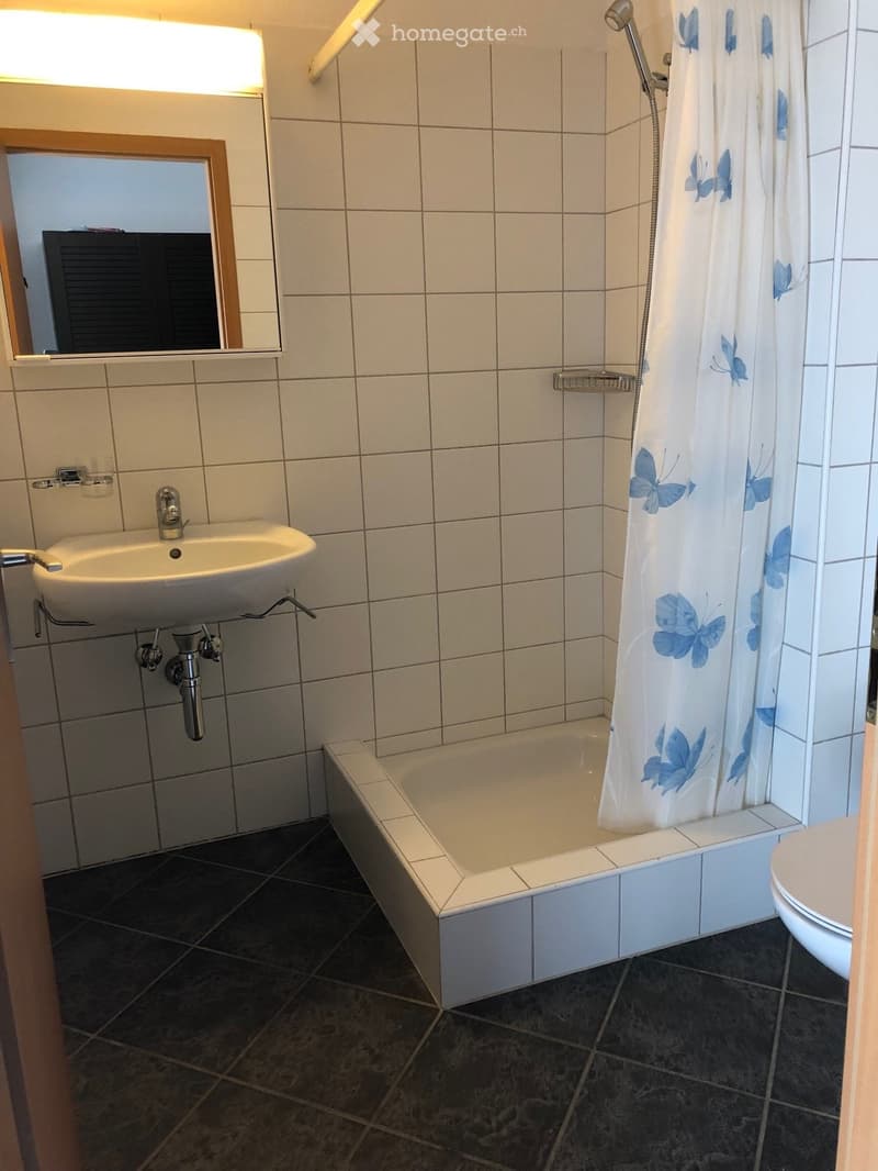 Bathroom with white tiled walls, a white sink, a bathtub with a shower curtain, and a toilet. The floor is dark tiled, and there is a mirror above the sink.