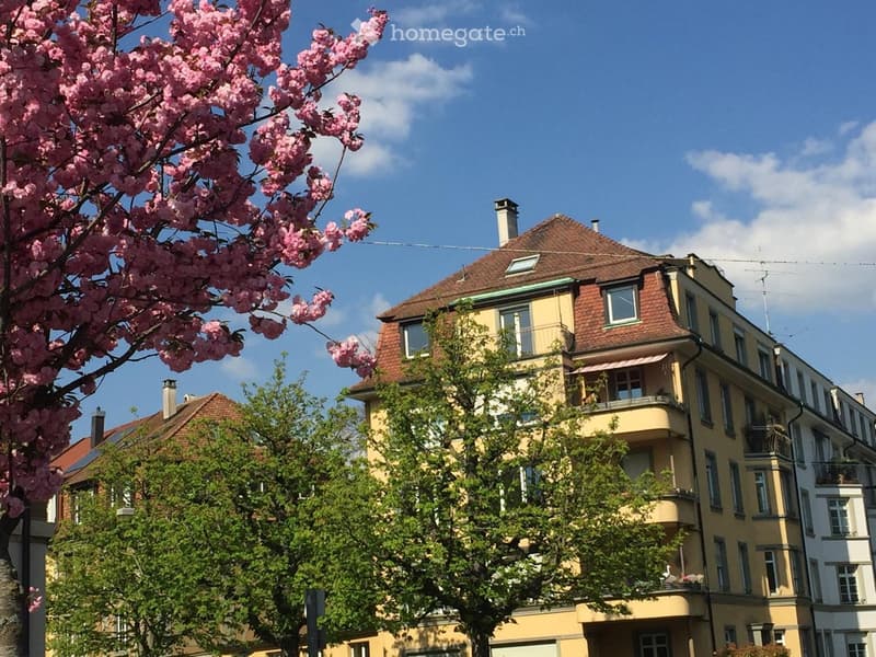 Multi-story residential building with yellow facade, red-tiled roof, multiple windows, and balconies. Pink flowering tree in foreground.