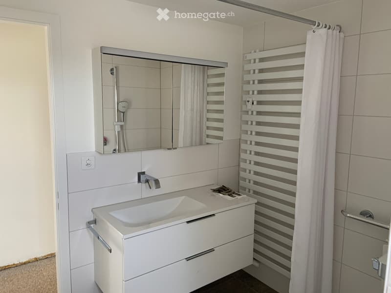 Modern bathroom with white tiles, a white sink cabinet, a large mirror, a radiator, and a shower curtain.