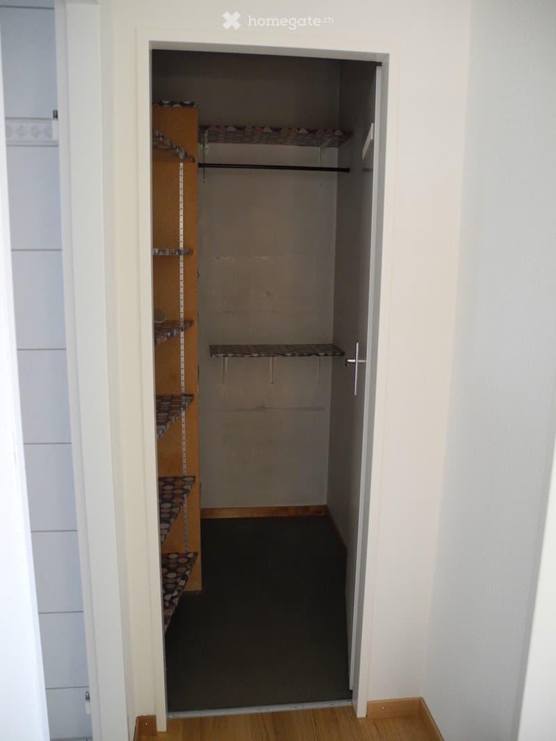 Empty closet with wooden shelves and a hanging rod, located in a room with light-colored walls and wooden flooring.