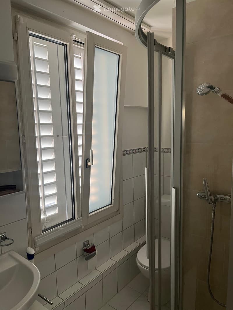 Modern bathroom with a tiled shower stall, toilet, sink, and window with blinds. Features a glass shower enclosure and a handheld showerhead.