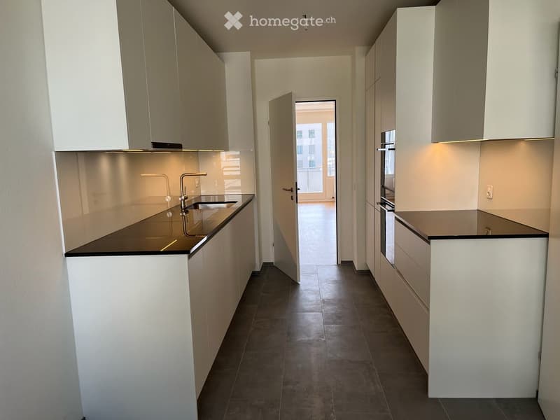 Duplex-/Maisonette-Wohnung in Basel (4)