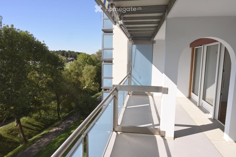 Balcony with modern glass railing, overlooking a green park area with trees and pathways.