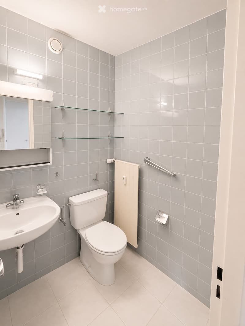 Modern bathroom with grey tiled walls, white sink, toilet, mirror, glass shelf, and handrail.