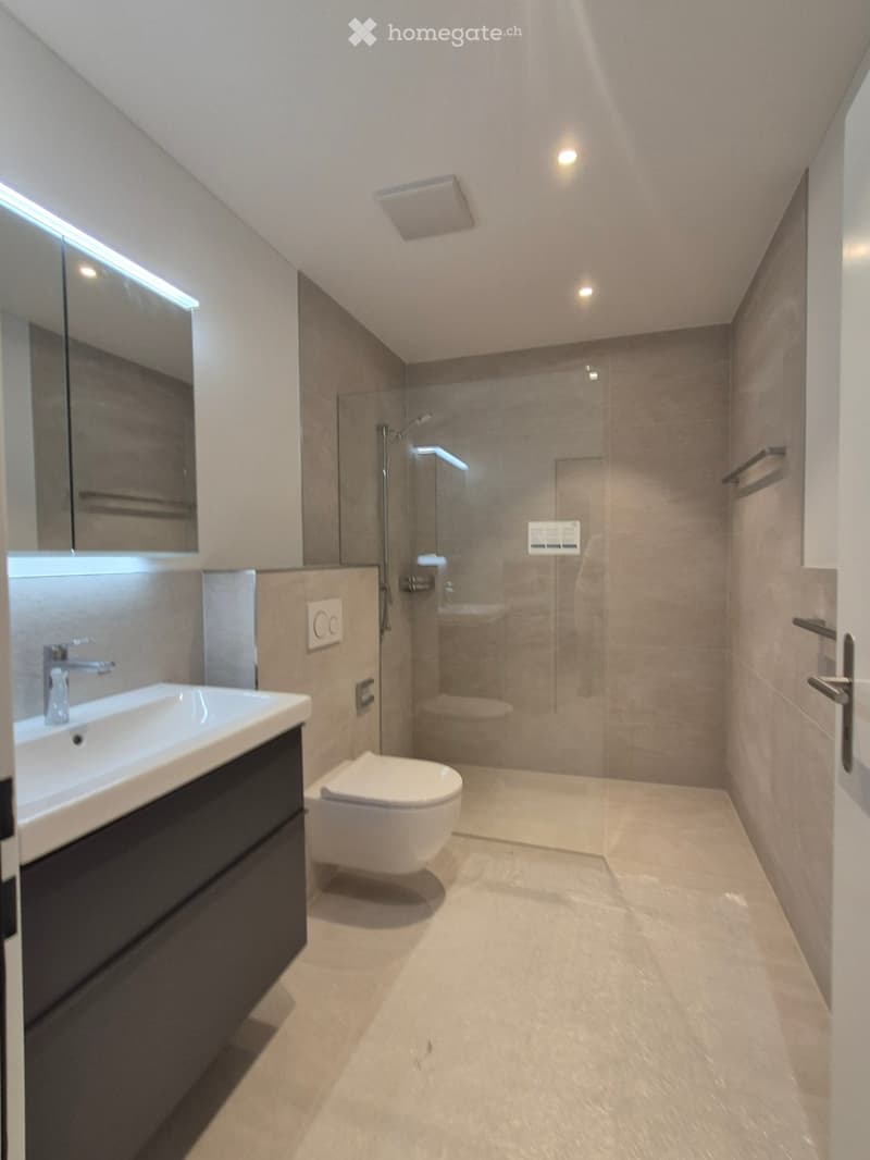 Modern bathroom with a white sink, dark cabinet, mirror, toilet, and glass-enclosed shower with a modern showerhead.