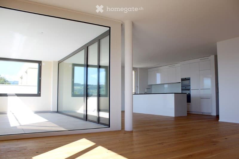 Bright, modern living space with large glass sliding doors, wooden flooring, and an open kitchen area featuring white cabinets, a kitchen island, and built-in appliances.