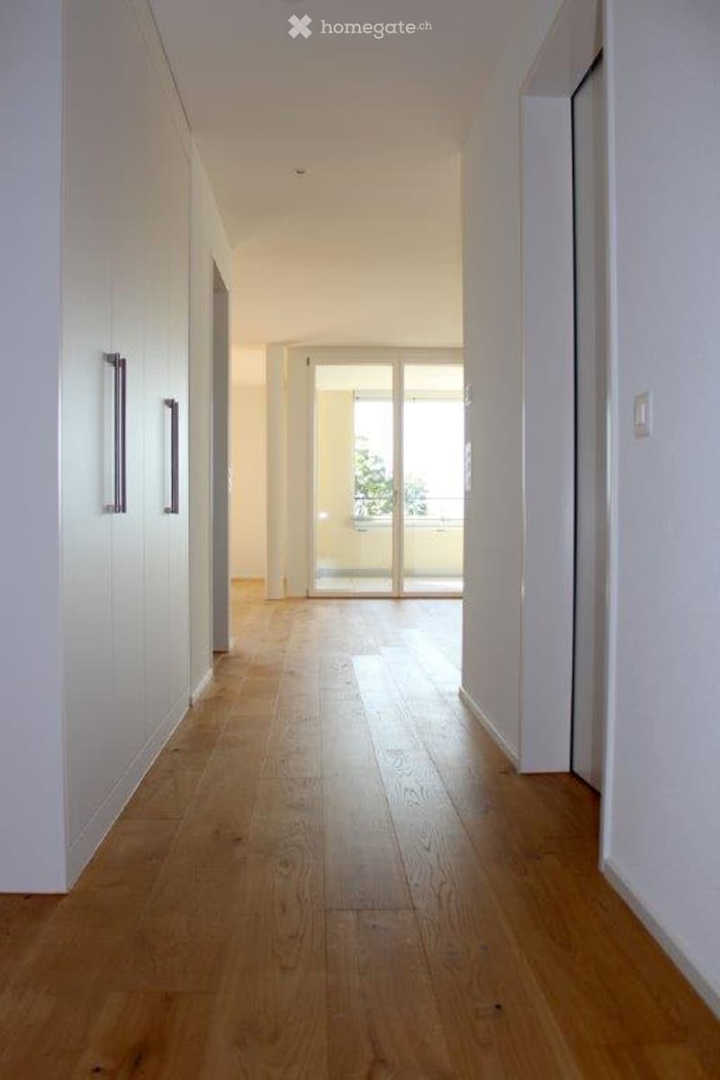 Bright, minimalist hallway with light wooden flooring, white walls, and a glass door leading to a balcony.