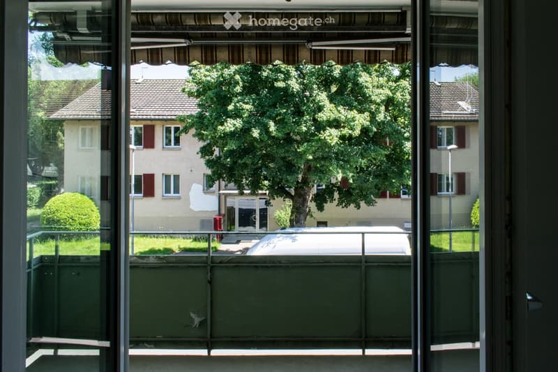 Balcony with a view of a residential area, including houses, a tree, and a parked van.