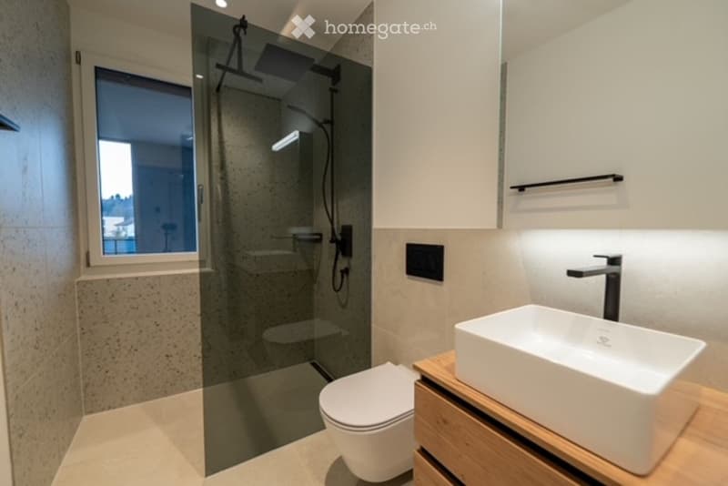 Modern bathroom with a glass-enclosed shower, a toilet, a sink on a wooden stand, and a towel rack. The space features a large window providing natural light.