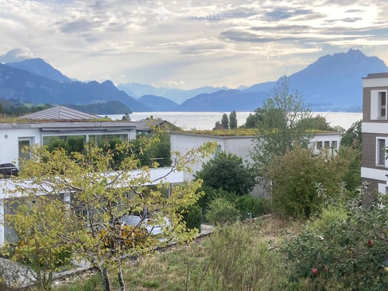 Modern house with white walls, large windows, and a green roof, surrounded by trees and overlooking a lake and mountains.