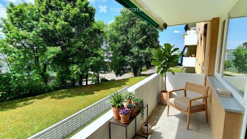 Balcony with wooden chair, small table with potted plants, and a large potted tree, overlooking a green lawn and trees.